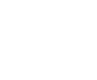stonewall_diversitychampion